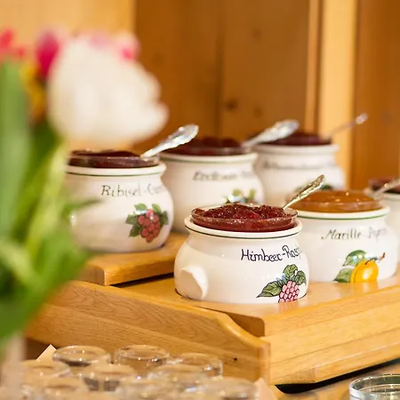 Holzerhof Apartmanhotel Schladming