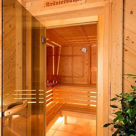 Holzerhof 3* Schladming