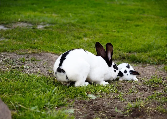 Holzerhof Appart hôtel