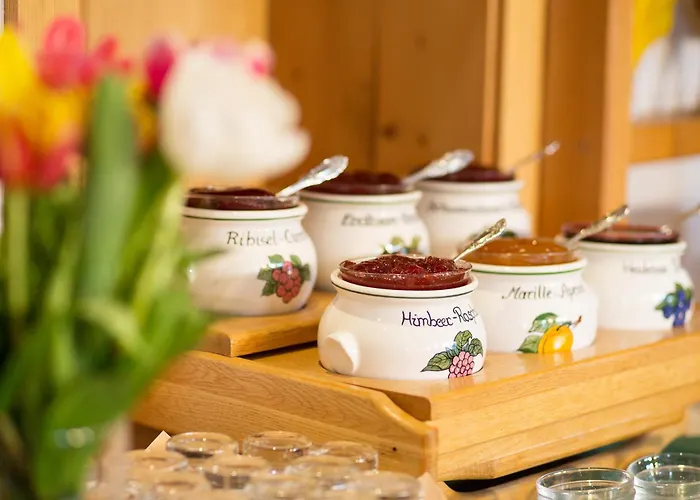 Holzerhof Apartmanhotel Schladming